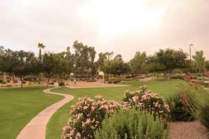 Genesis Landscape Solutions photo