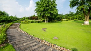 An image of terrain landscape.