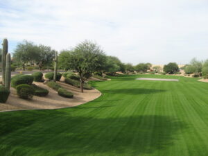 Website photo